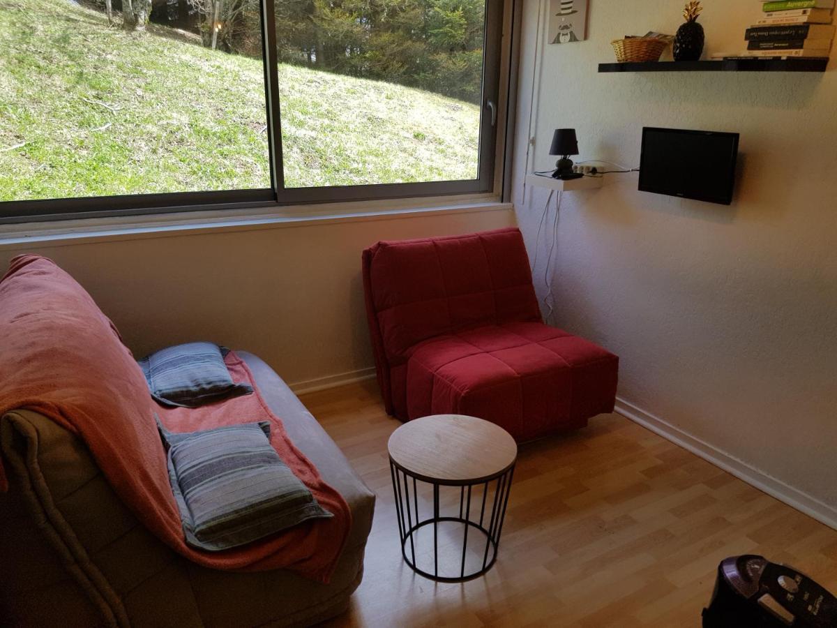 Piste Verte Apartment Besse-et-Saint-Anastaise Exterior photo